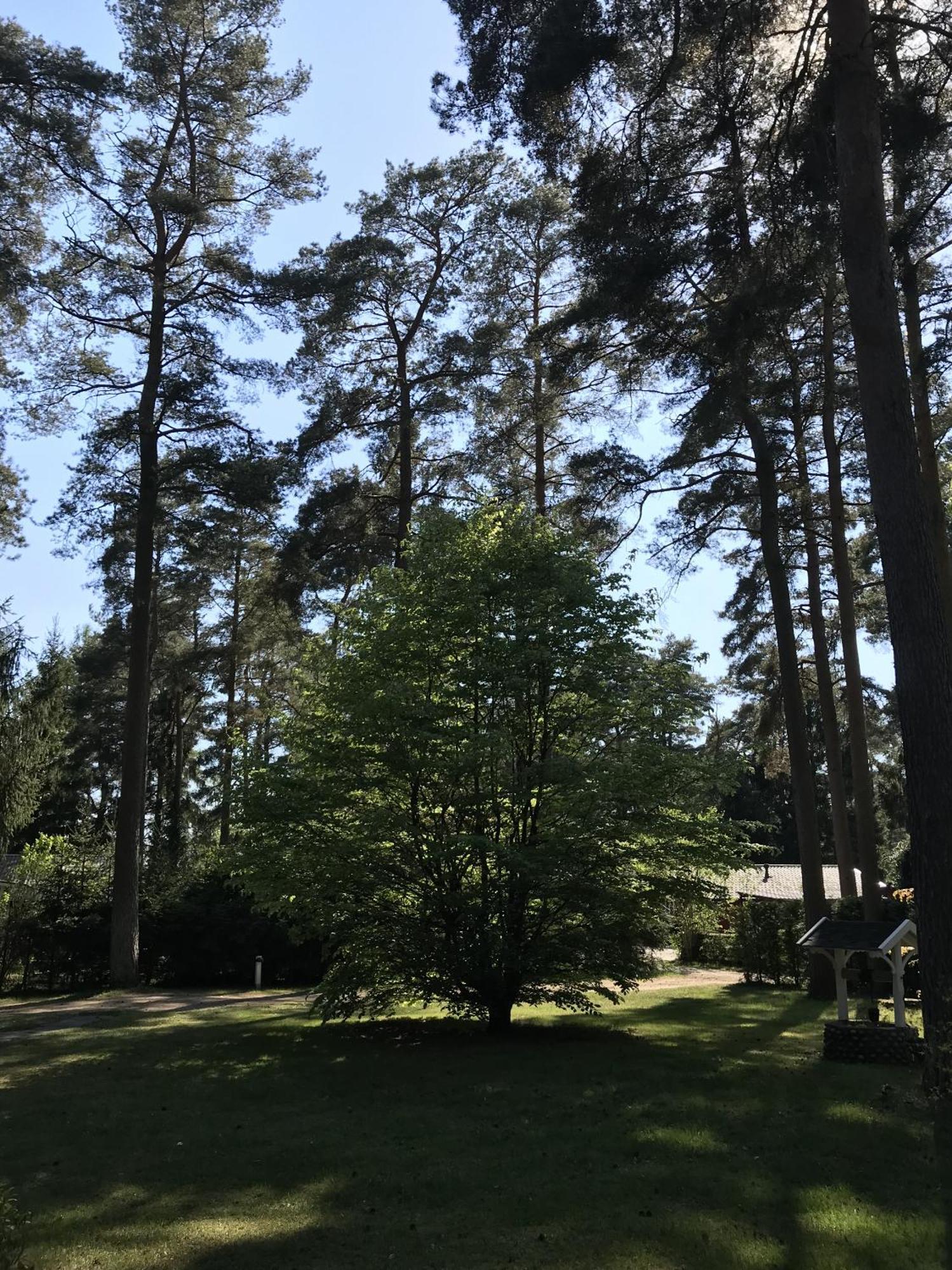 Nordic Relax House - Woodhouse Villa Sjöbo Dış mekan fotoğraf