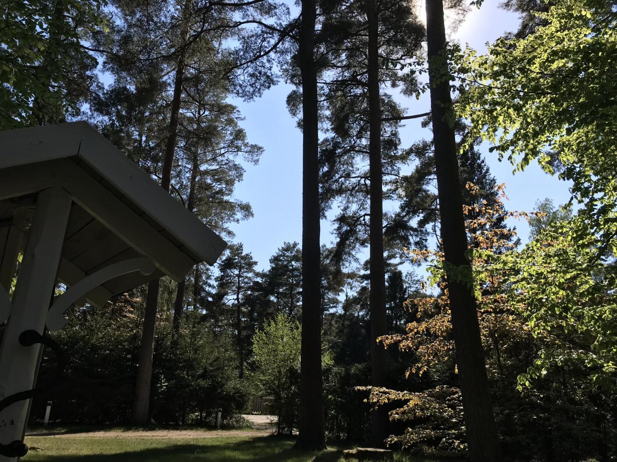Nordic Relax House - Woodhouse Villa Sjöbo Dış mekan fotoğraf